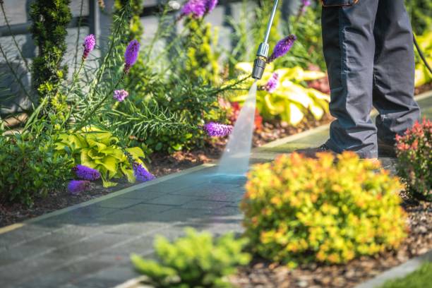 Trusted Crowley, TX Pressure Washing Services Experts